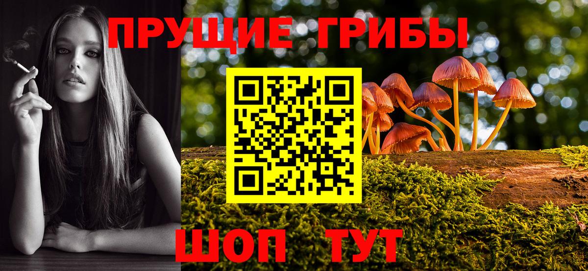 Назрань  Псилоцибиновые грибы мицелий  Вход с VPN 